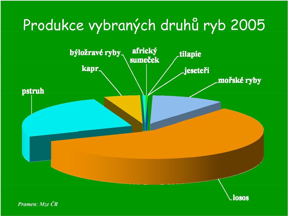 druhů ryb