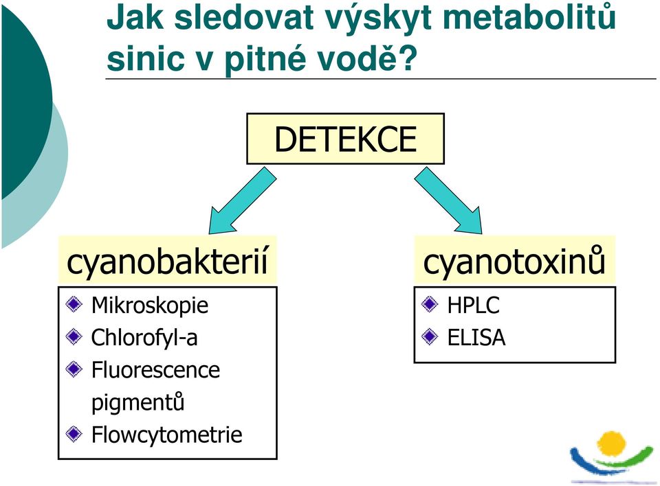 DETEKCE cyanobakterií Mikroskopie