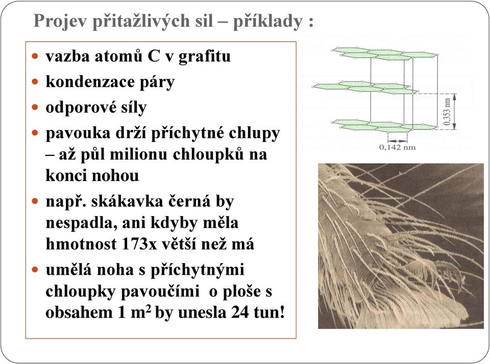 konci nohou nř.