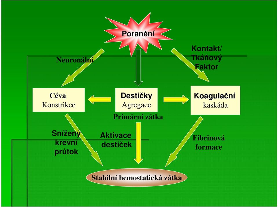 destiček Destičky Agregace Primární zátka