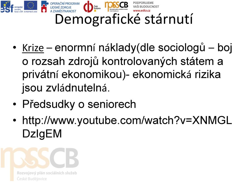 privátní ekonomikou)- ekonomická rizika jsou