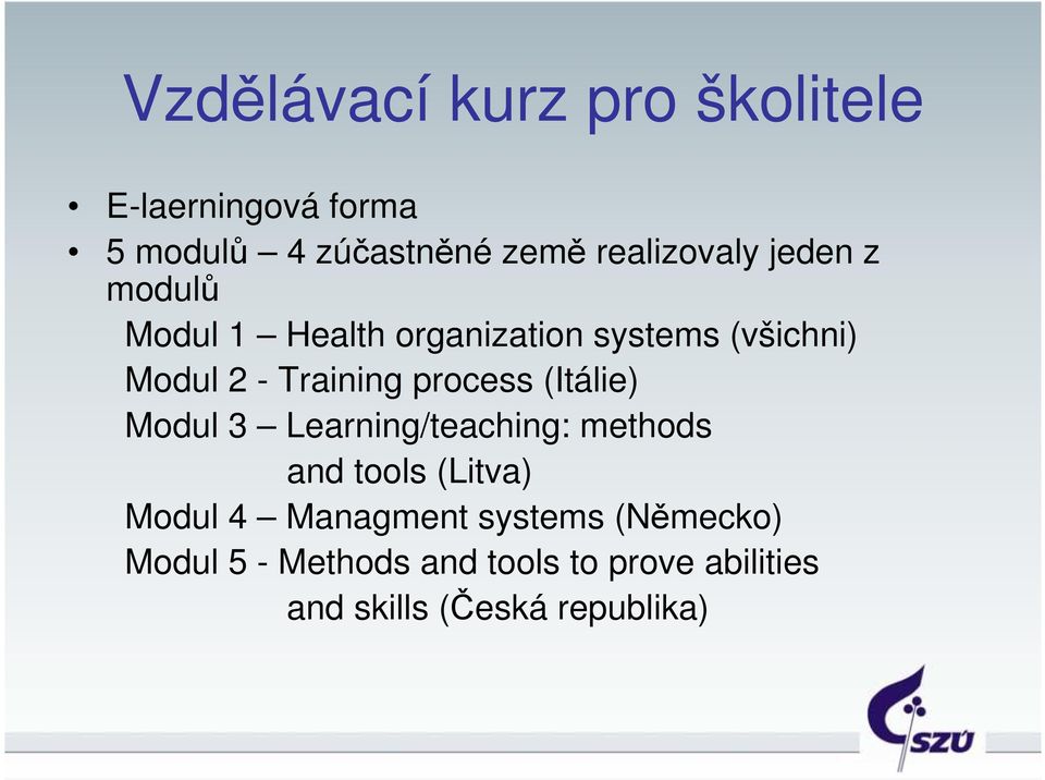 Training process (Itálie) Modul 3 Learning/teaching: methods and tools (Litva) Modul 4