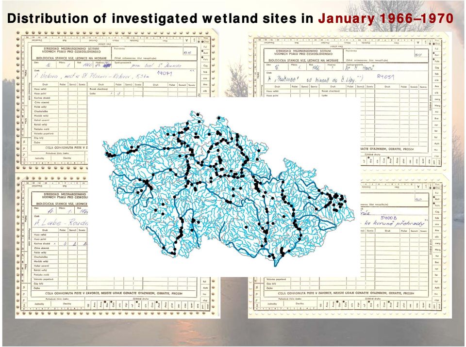 wetland sites