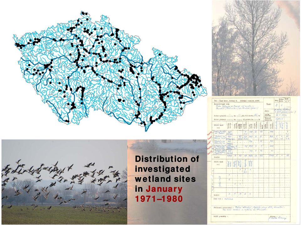 wetland sites in