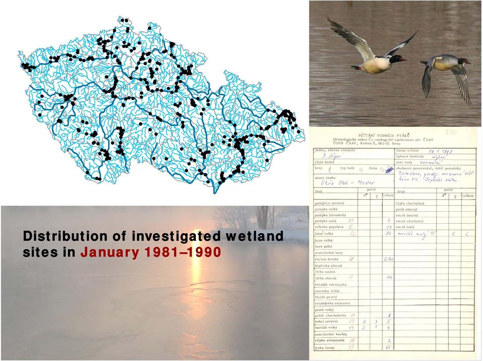 wetland sites