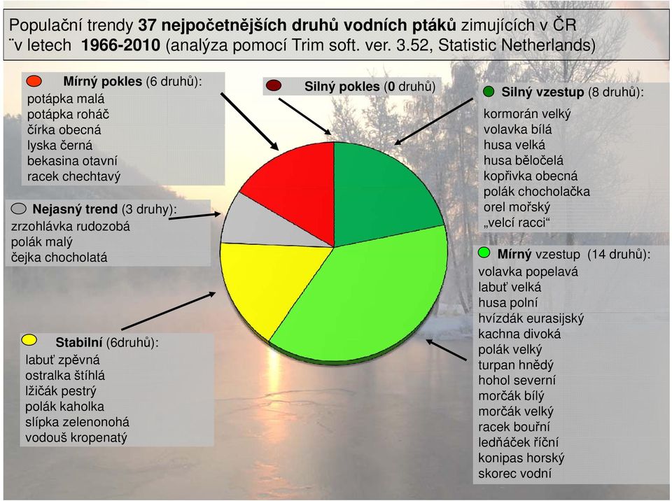 52, Statistic Netherlands) Mírný pokles (6 druhů): potápka malá Silný pokles ( druhů) potápka roháč kormorán velký čírka k obecná volavka bílá lyska černá bekasina otavní racek chechtavý Nejasný