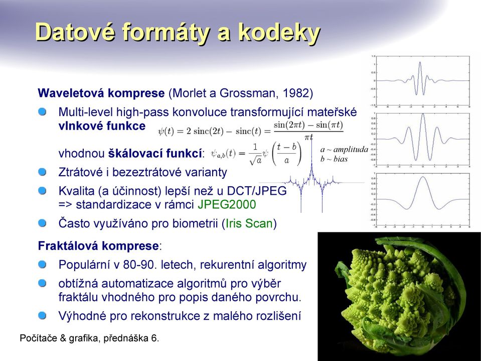 standardizace v rámci JPEG2000 Často využíváno pro biometrii (Iris Scan) Fraktálová komprese: Populární v 80-90.