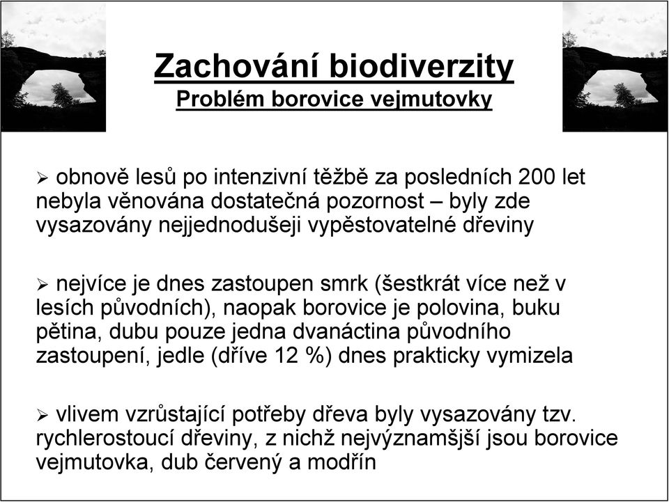 vodních), naopak borovice je polovina, buku pětina, dubu pouze jedna dvanáctina původnp vodního zastoupení,, jedle (dříve 12 %) dnes prakticky vymizela