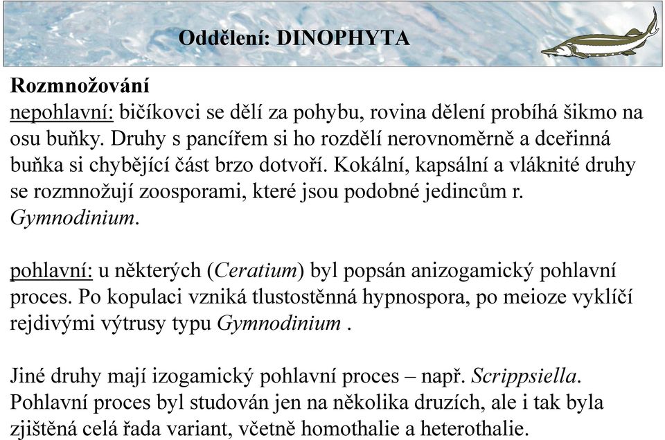 Kokální, kapsální a vláknité druhy se rozmnožují zoosporami, které jsou podobné jedincům r. Gymnodinium.