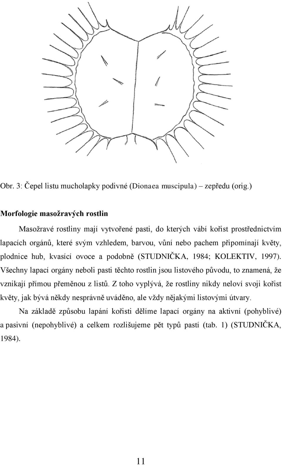 květy, plodnice hub, kvasící ovoce a podobně (STUDNIČKA, 1984; KOLEKTIV, 1997).