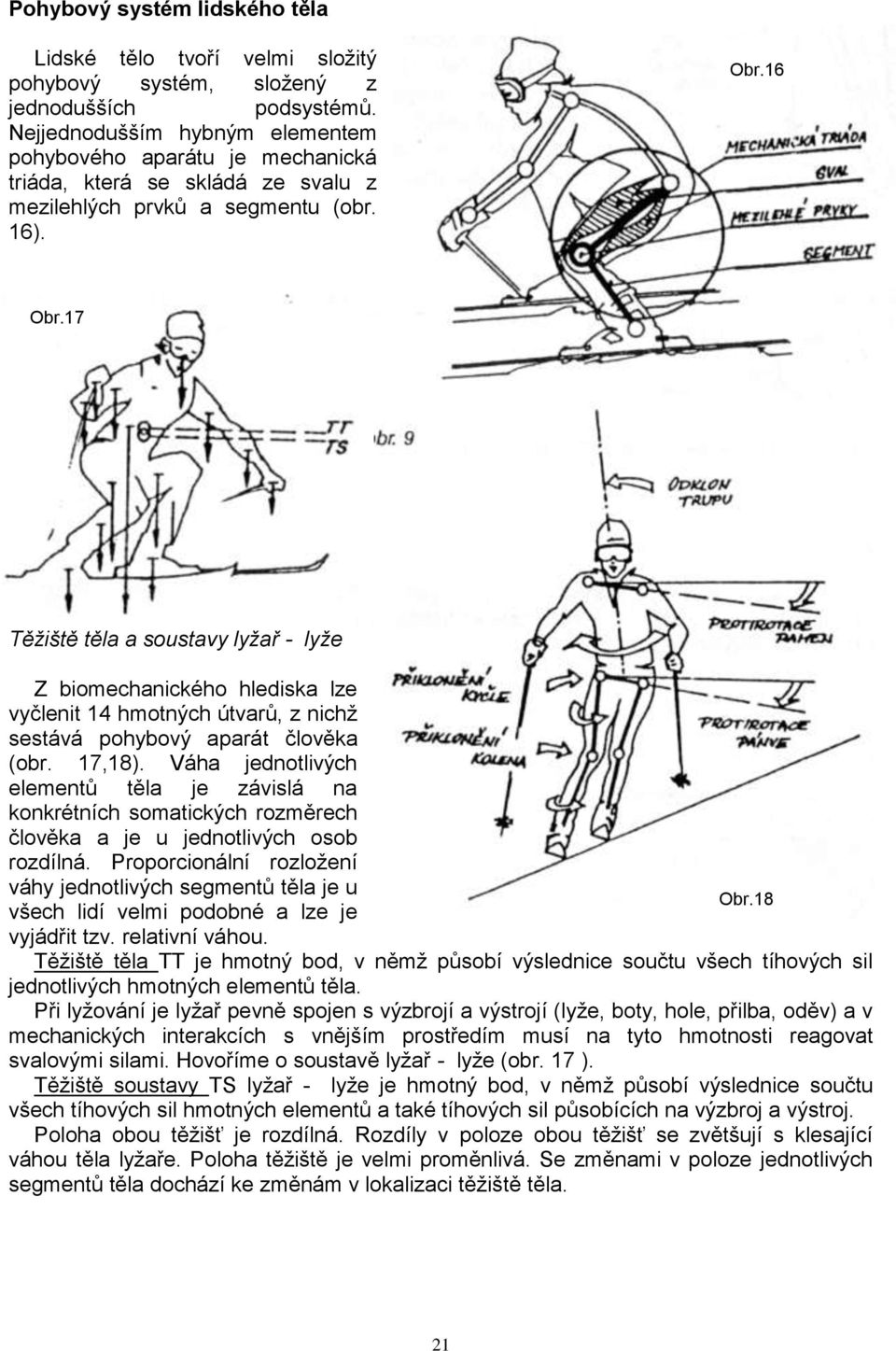 17 Těžiště těla a soustavy lyžař - lyže Z biomechanického hlediska lze vyčlenit 14 hmotných útvarů, z nichţ sestává pohybový aparát člověka (obr. 17,18).