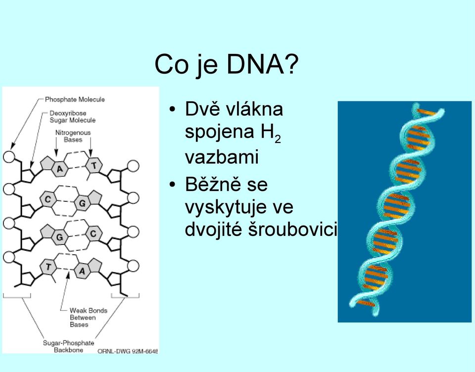 H2 vazbami Běžně se