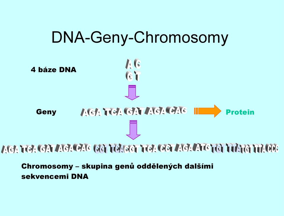 skupina genů oddělených