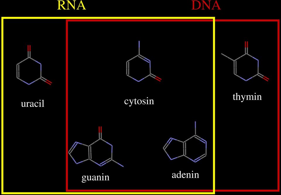 cytosin