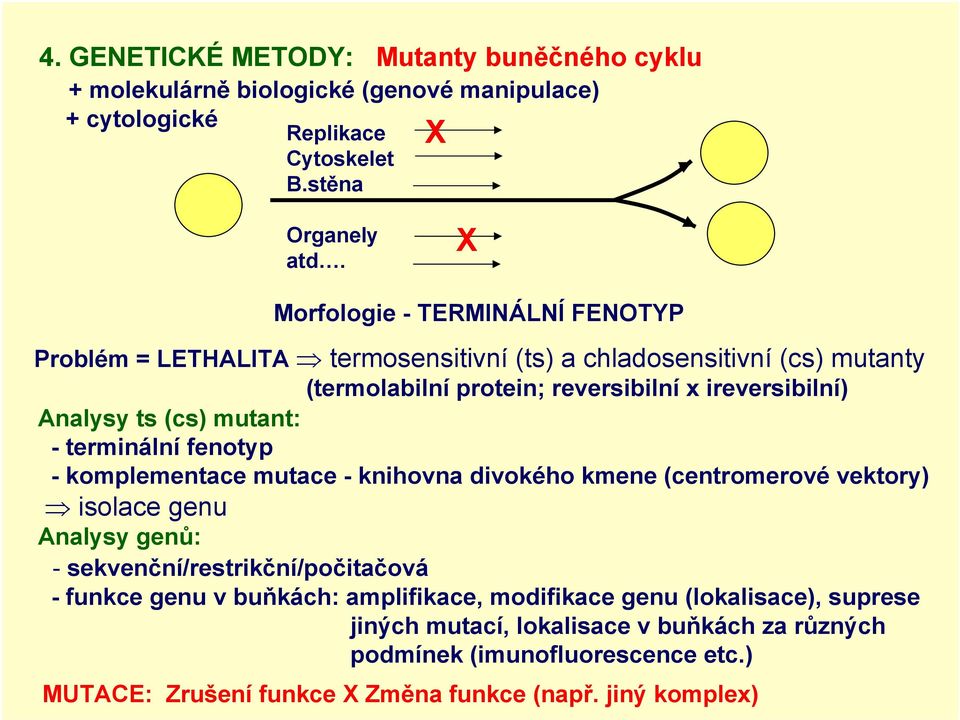 mutant: - terminální fenotyp - komplementace mutace - knihovna divokého kmene (centromerové vektory) isolace genu Analysy genů: - sekvenční/restrikční/počitačová - funkce genu