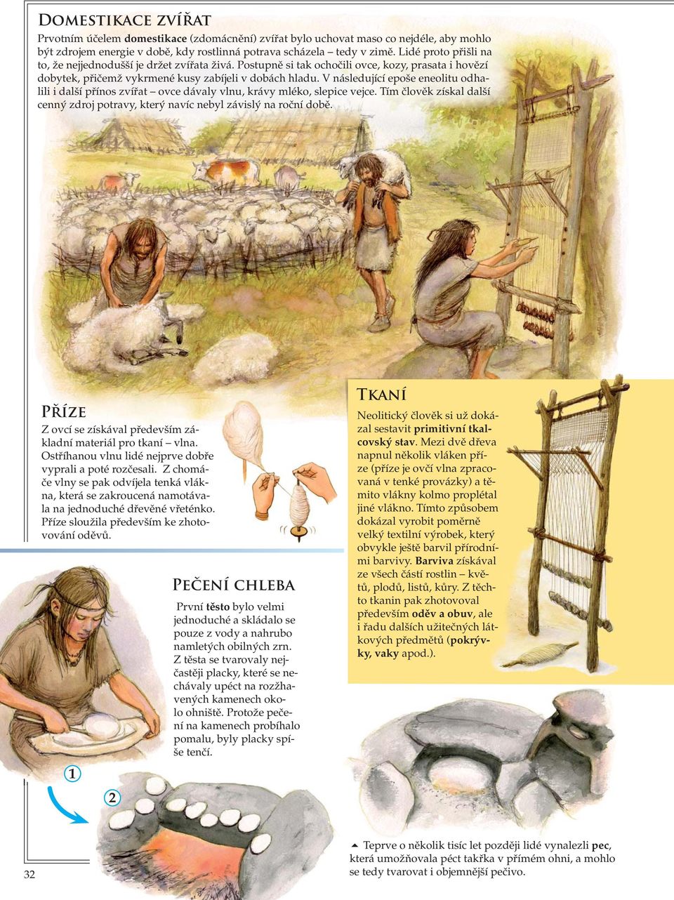 V následující epoše eneolitu odhalili i další přínos zvířat ovce dávaly vlnu, krávy mléko, slepice vejce. Tím člověk získal další cenný zdroj potravy, který navíc nebyl závislý na roční době.