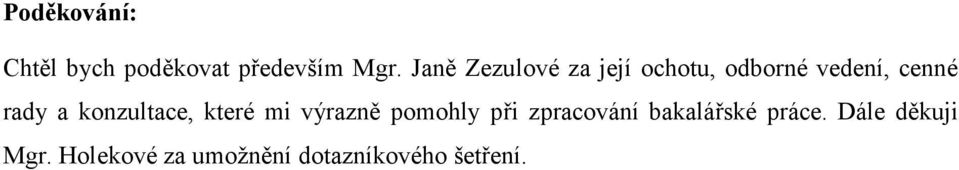 konzultace, které mi výrazně pomohly při zpracování