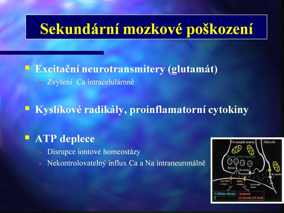 proinflamatorní cytokiny ATP deplece Disrupce iontové