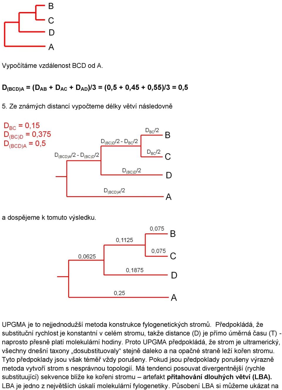 Předpokládá, že substituční rychlost je konstantní v celém stromu, takže distance (D) je přímo úměrná času (T) - naprosto přesně platí molekulární hodiny.