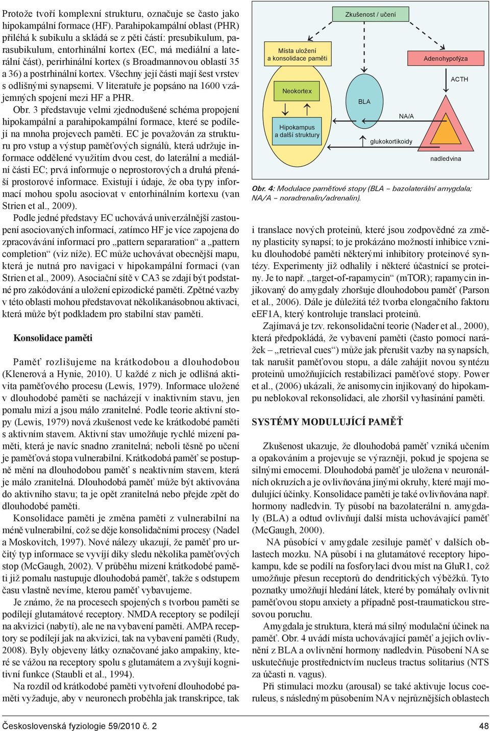 oblastí 35 a 36) a postrhinální kortex. Všechny její části mají šest vrstev s odlišnými synapsemi. V literatuře je popsáno na 1600 vzájemných spojení mezi HF a PHR. Obr.