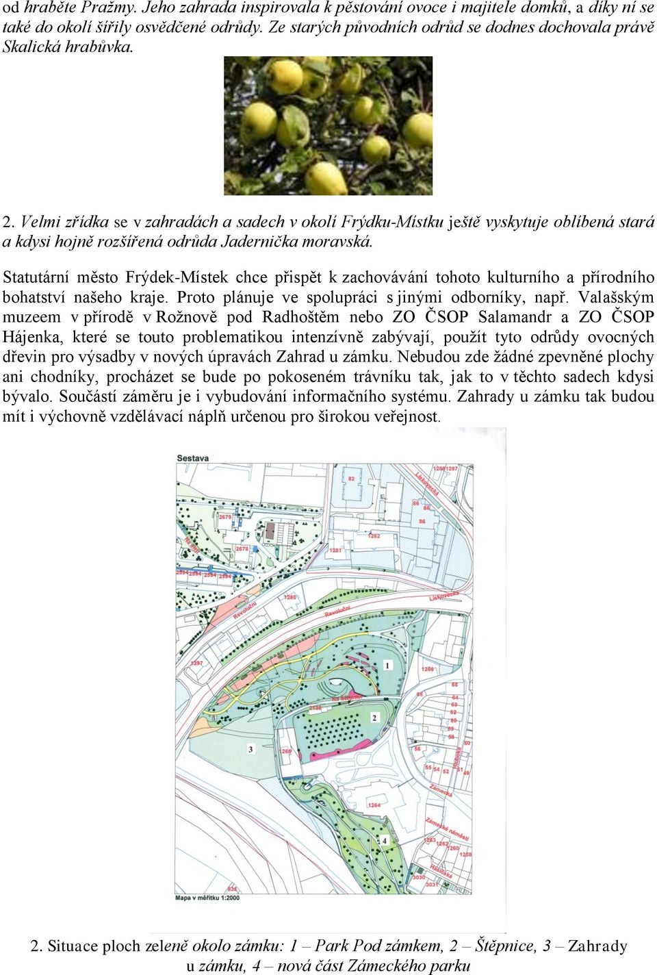 Velmi zřídka se v zahradách a sadech v okolí Frýdku-Místku ještě vyskytuje oblíbená stará a kdysi hojně rozšířená odrůda Jadernička moravská.