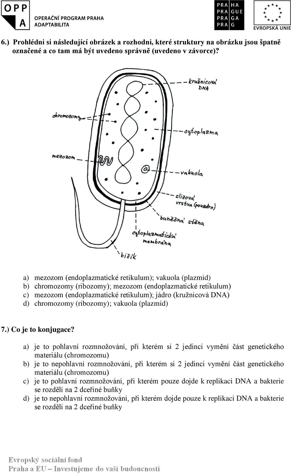(ribozomy); vakuola (plazmid) 7.) Co je to konjugace?