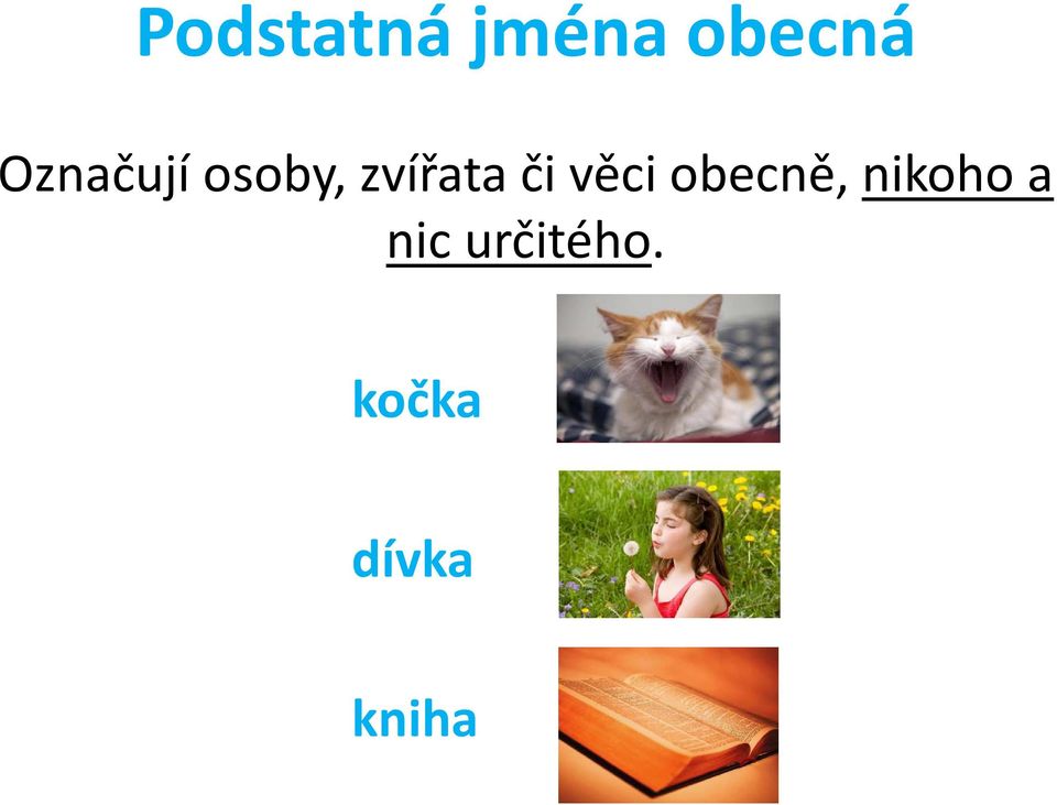 či věci obecně, nikoho a