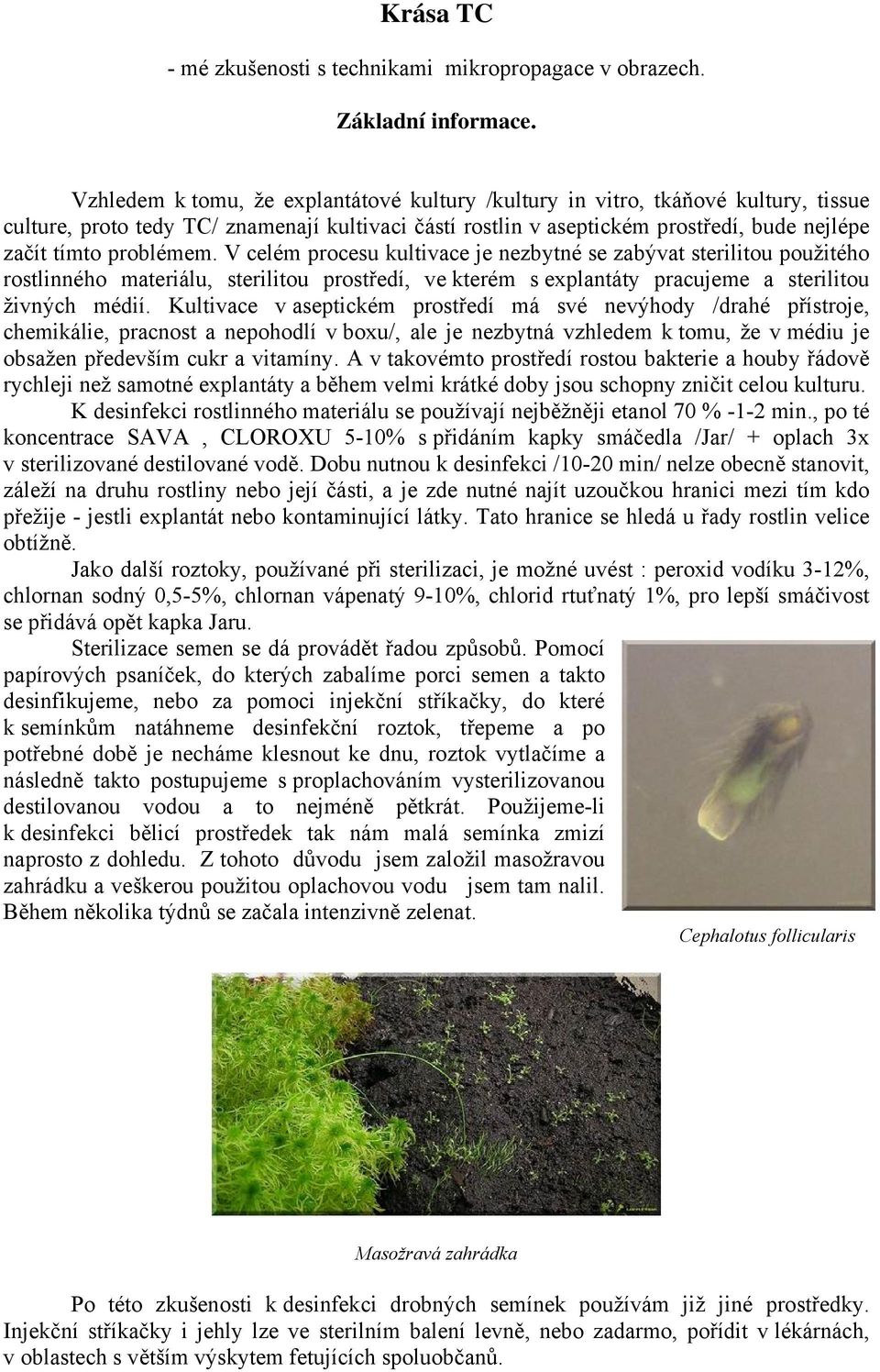 problémem. V celém procesu kultivace je nezbytné se zabývat sterilitou použitého rostlinného materiálu, sterilitou prostředí, ve kterém s explantáty pracujeme a sterilitou živných médií.