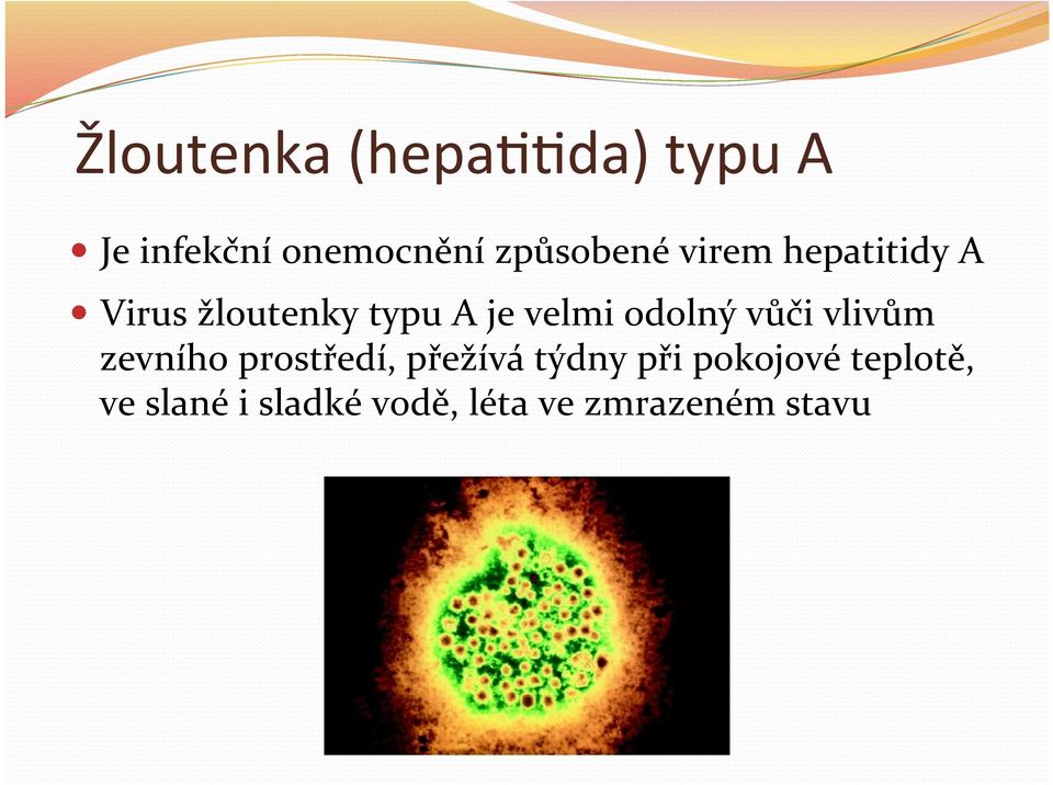 velmi odolný vůči vlivům zevního prostředí, přežívá týdny