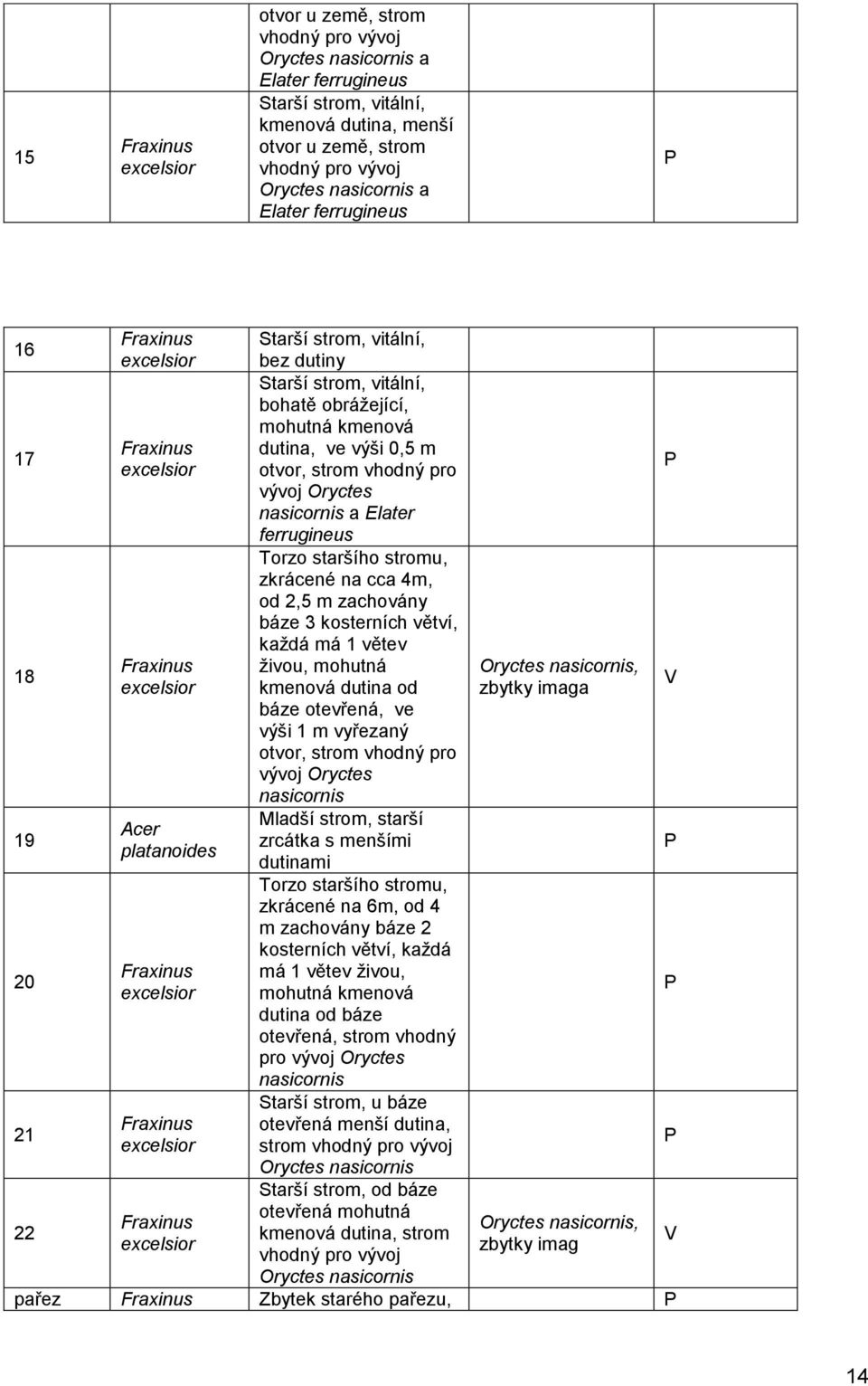 cca 4m, od 2,5 m zachovány báze 3 kosterních větví, každá má 1 větev živou, mohutná Oryctes, kmenová dutina od zbytky imaga báze otevřená, ve výši 1 m vyřezaný otvor, strom vhodný pro vývoj Oryctes