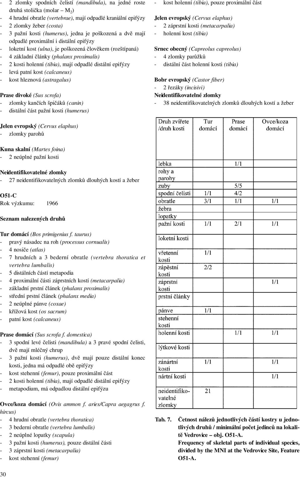 odpadlé distální epifýzy - levá patní kost (calcaneus) - kost hleznová (astragalus) Prase divoké (Sus scrofa) - zlomky kančích špičáků (canin) - distální část pažní kosti (humerus) - kost holenní