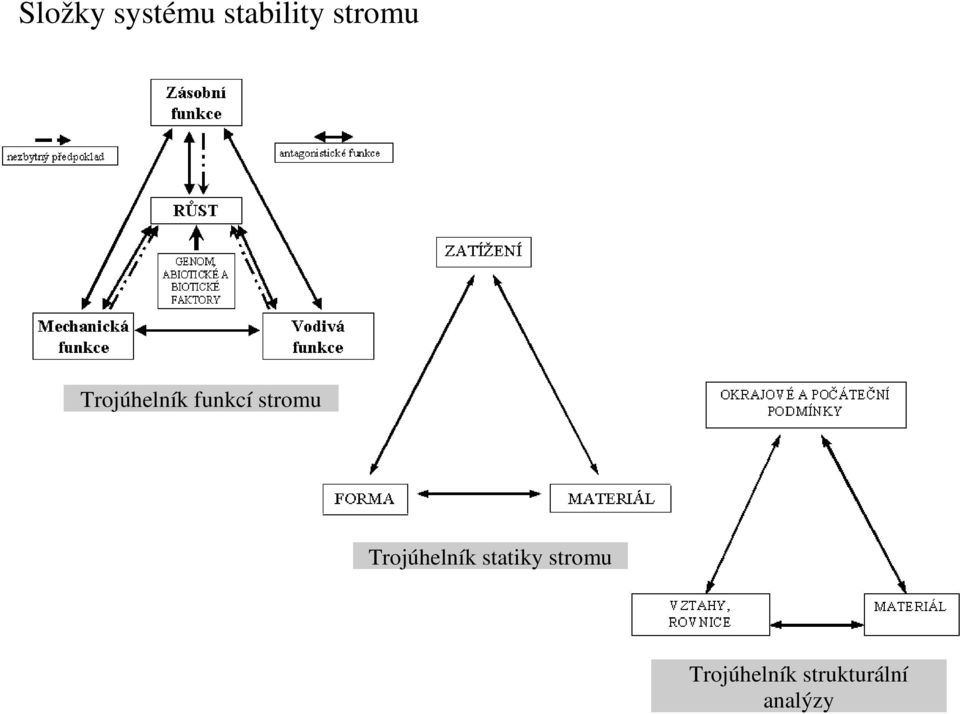 stromu Trojúhelník statiky