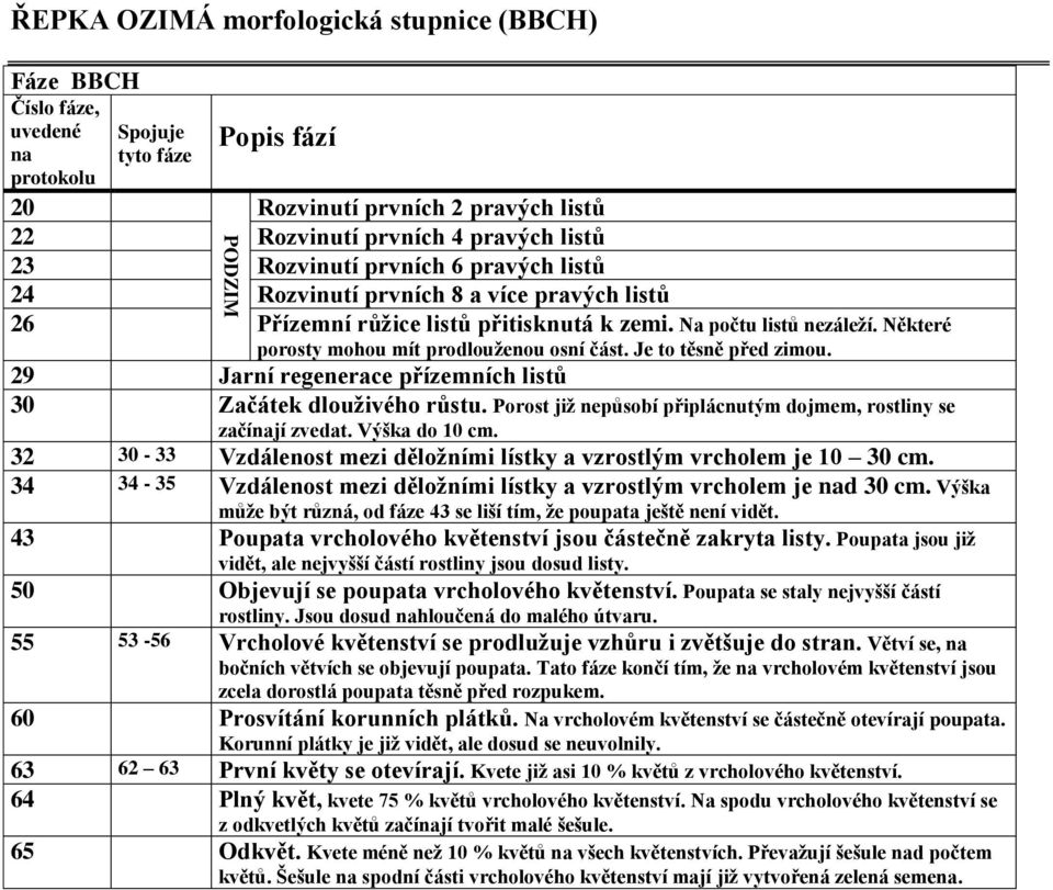 29 Jarní regenerace přízemních listů 30 Začátek dlouživého růstu. Porost již nepůsobí připlácnutým dojmem, rostliny se začíjí zvedat. Výška do 10 cm.