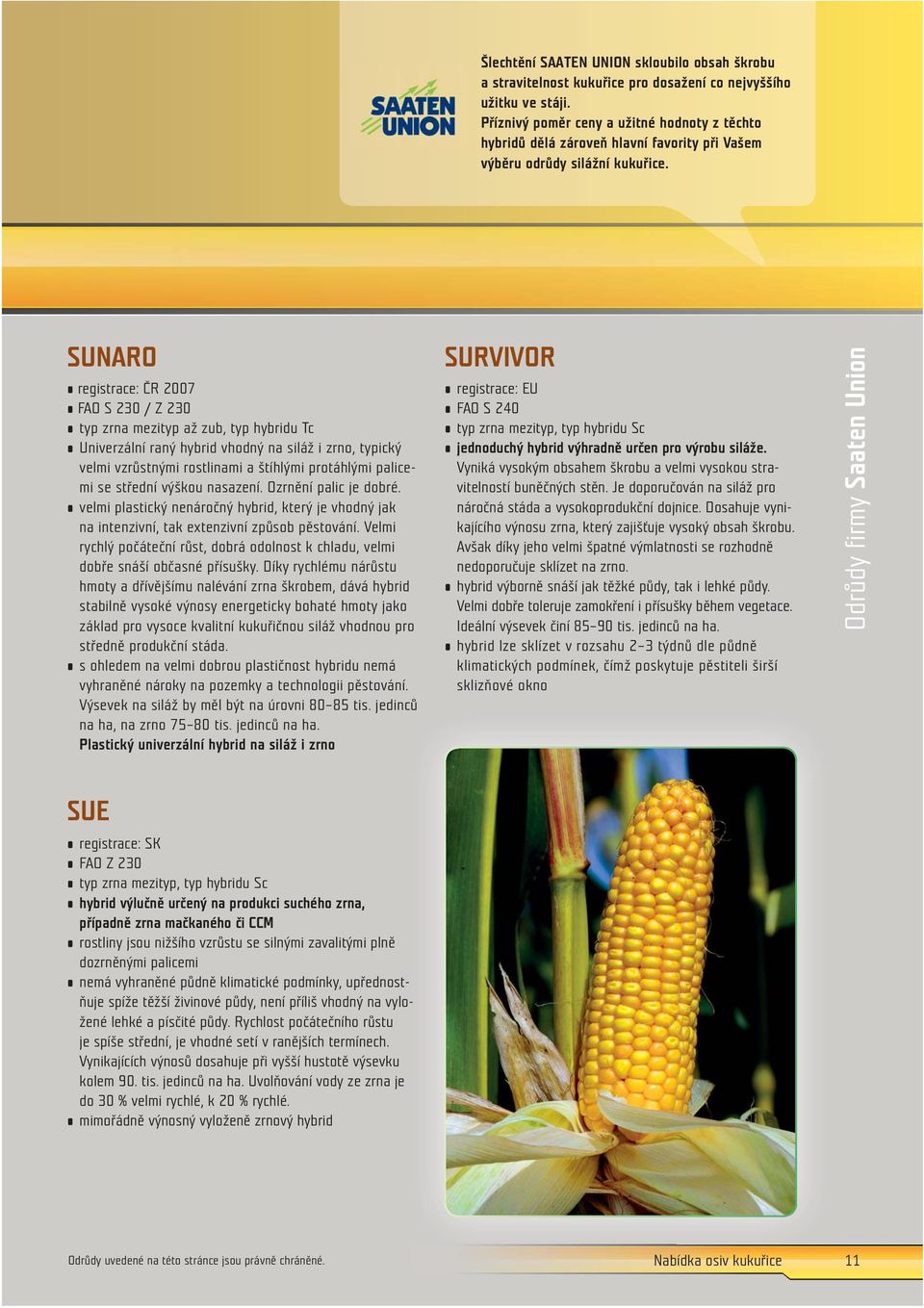 SUNARO registrace: ČR 2007 FAO S 230 / Z 230 typ zrna mezityp až zub, typ hybridu Tc Univerzální raný hybrid vhodný na siláž i zrno, typický velmi vzrůstnými rostlinami a štíhlými protáhlými palicemi