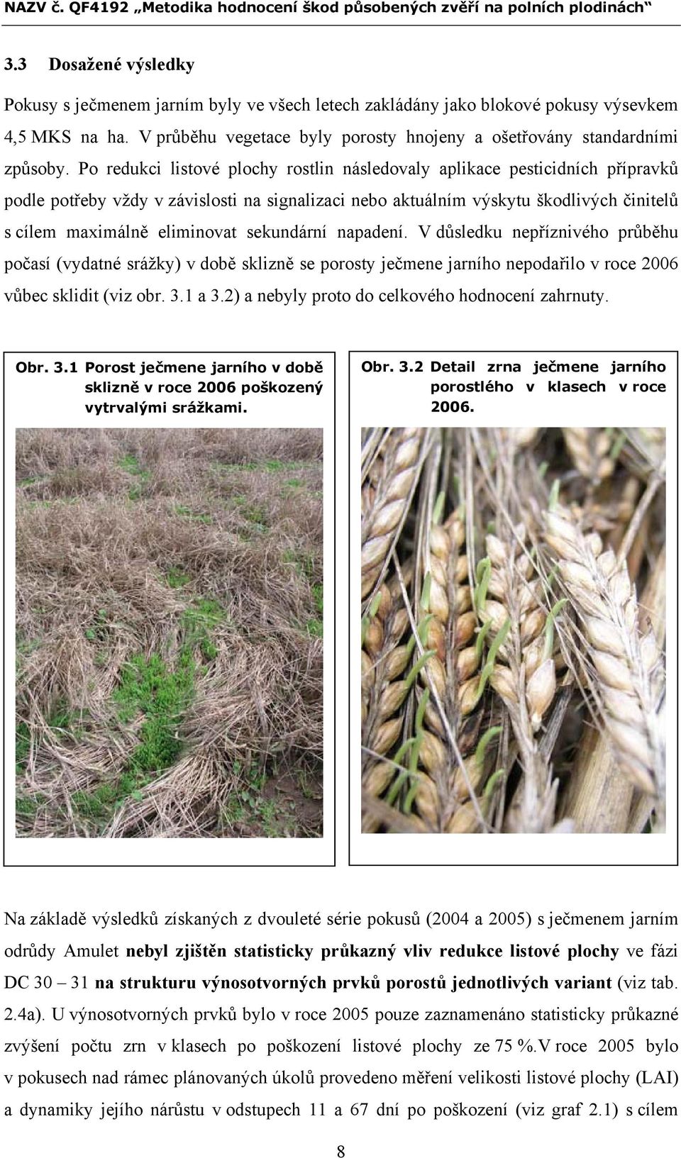 sekundární napadení. V důsledku nepříznivého průběhu počasí (vydatné srážky) v době sklizně se porosty ječmene jarního nepodařilo v roce 2006 vůbec sklidit (viz obr. 3.1 a 3.