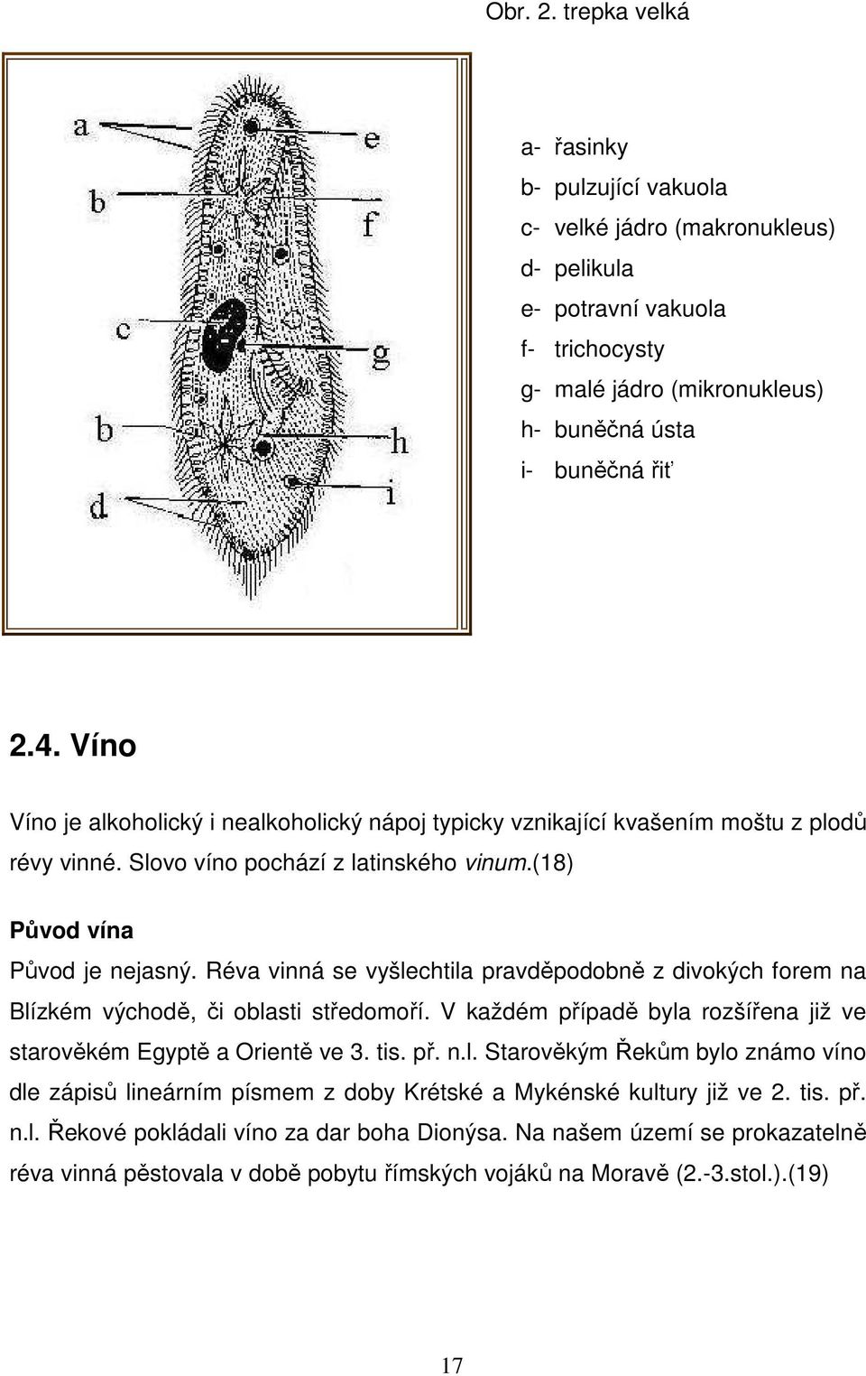 Réva vinná se vyšlechtila pravděpodobně z divokých forem na Blízkém východě, či oblasti středomoří. V každém případě byla rozšířena již ve starověkém Egyptě a Orientě ve 3. tis. př. n.l. Starověkým Řekům bylo známo víno dle zápisů lineárním písmem z doby Krétské a Mykénské kultury již ve 2.