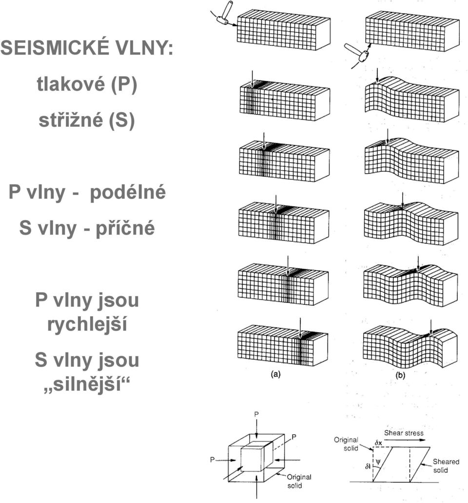 S vlny - příčné P vlny jsou