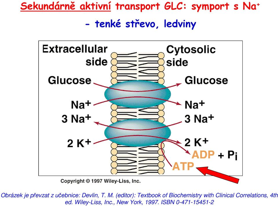 (editor): Textbook of Biochemistry with Clinical