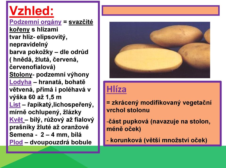 řapíkatý,lichospeřený, mírně ochlupený, žlázky Květ bílý, růžový až fialový prašníky žluté až oranžové Semena - 2 4 mm, bílá Plod