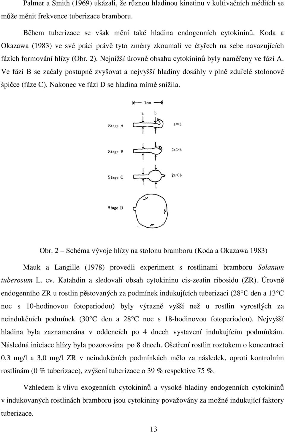 Ve fázi B se začaly postupně zvyšovat a nejvyšší hladiny dosáhly v plně zduřelé stolonové špičce (fáze C). Nakonec ve fázi D se hladina mírně snížila. Obr.