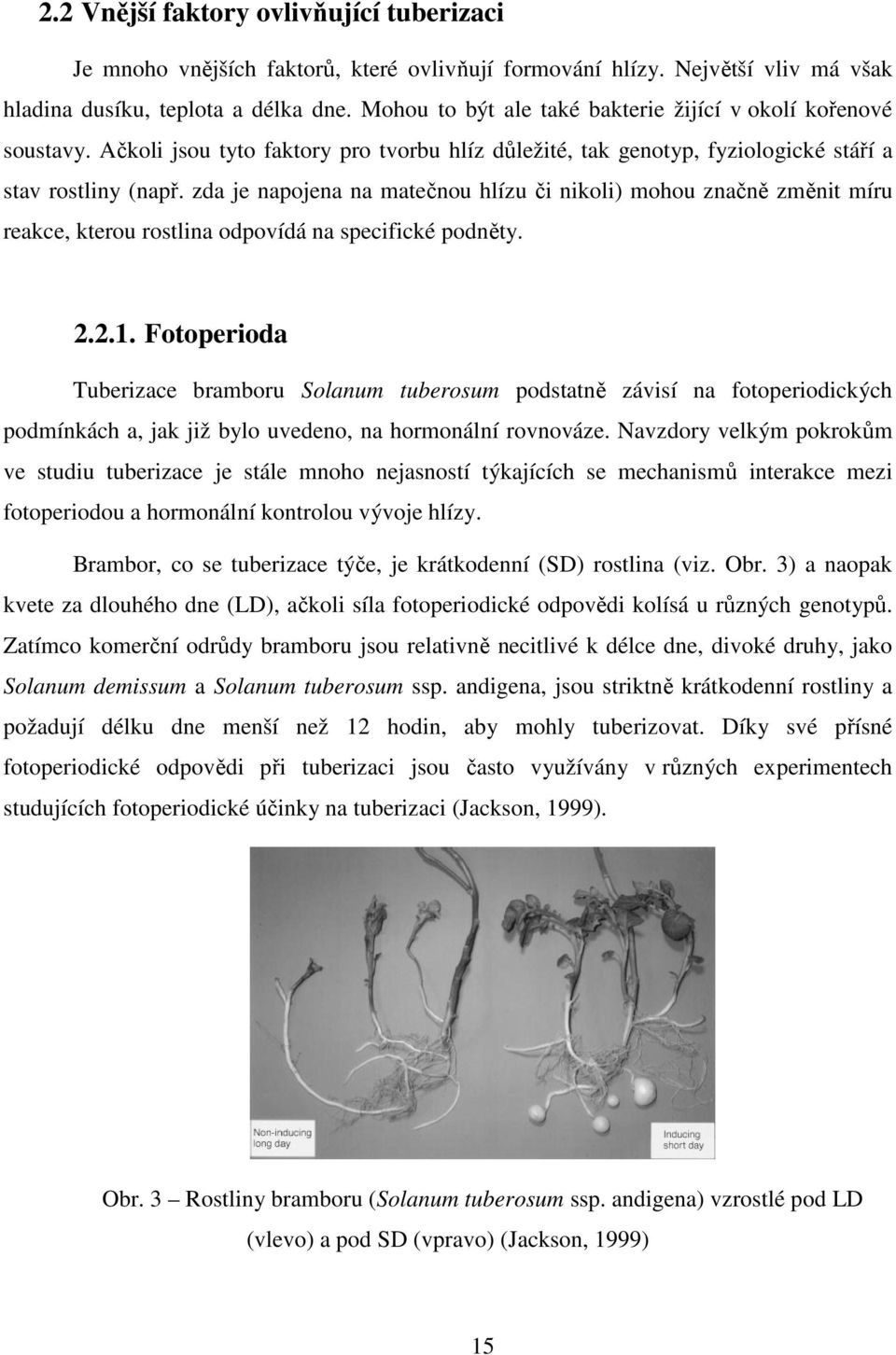 zda je napojena na matečnou hlízu či nikoli) mohou značně změnit míru reakce, kterou rostlina odpovídá na specifické podněty. 2.2.1.