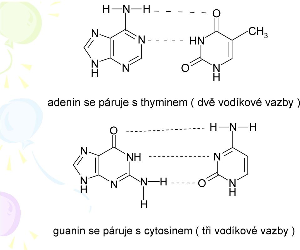 vazby ) guanin se páruje s