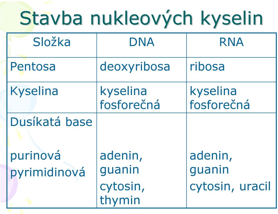 ribosa RA kyselina fosforečná purinová pyrimidinová