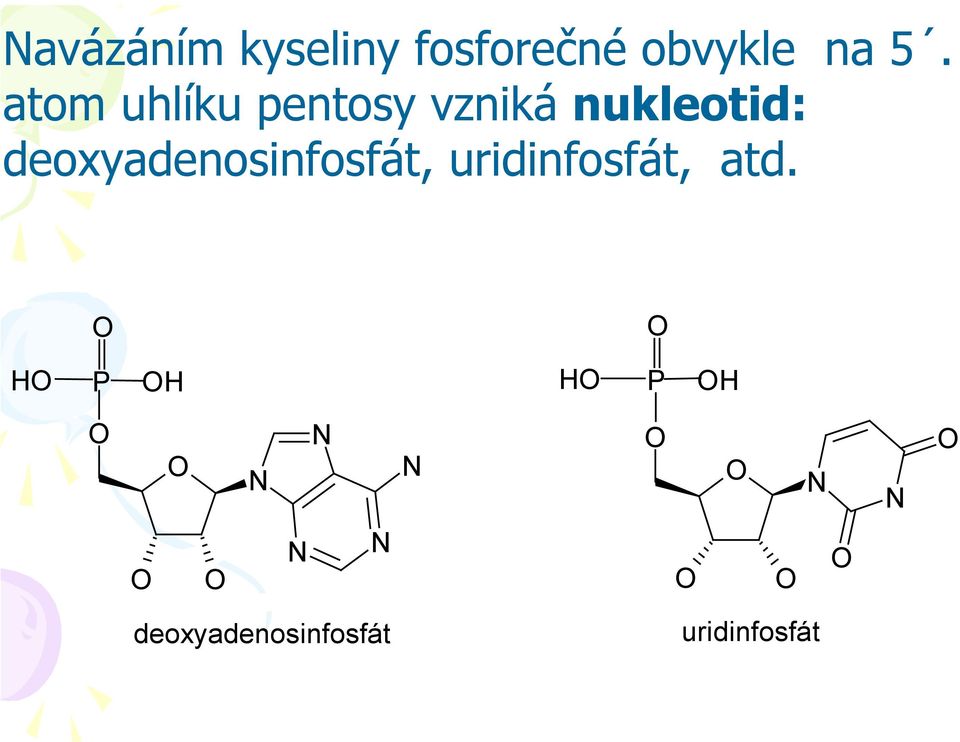 nukleotid: deoxyadenosinfosfát,