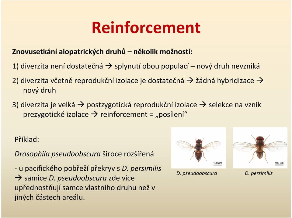 na vznik prezygotické izolace reinforcement = posílení Příklad: Drosophila pseudoobscura široce rozšířená - u pacifického pobřeží překryv s
