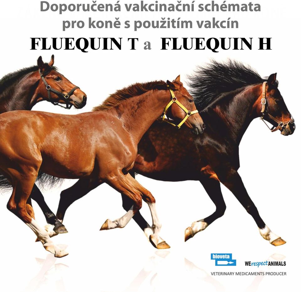 koně s použitím vakcín FLUEQUIN T a