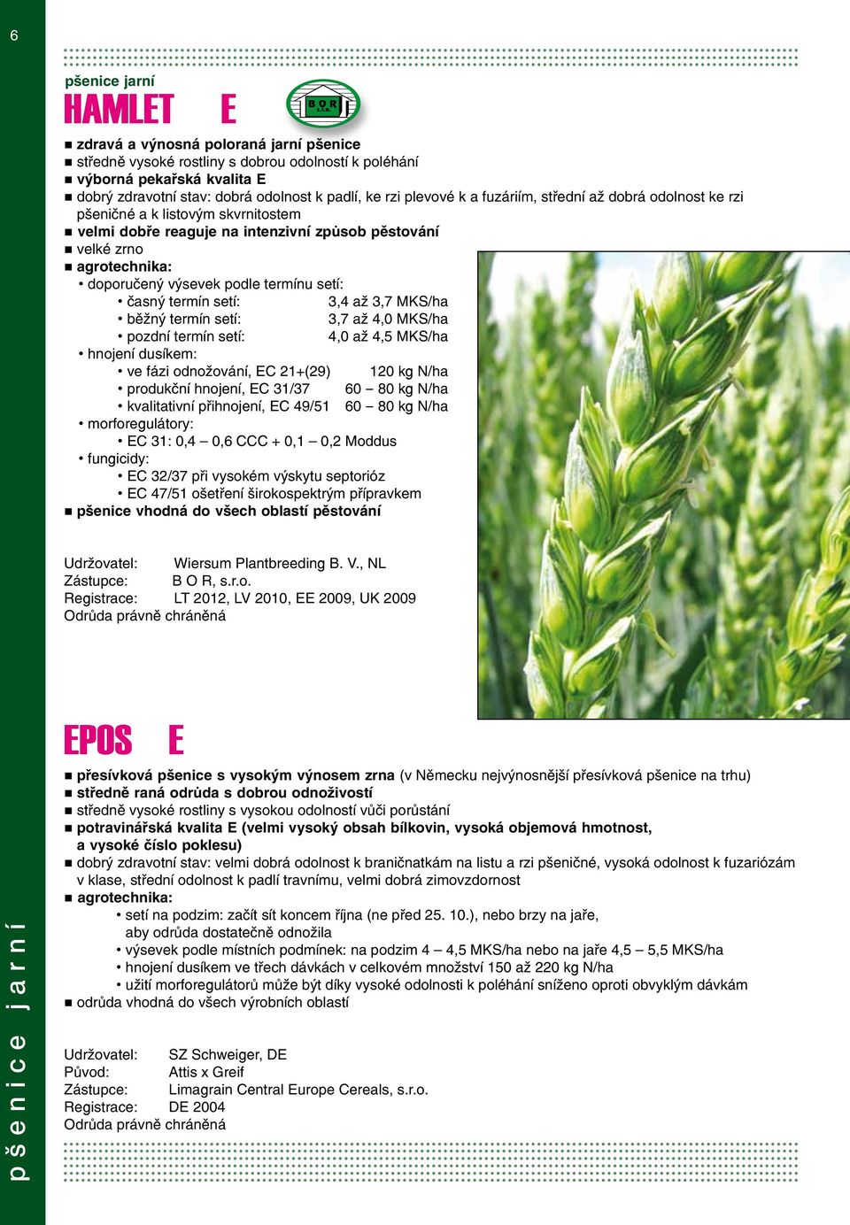 setí: časný termín setí: 3,4 až 3,7 MKS/ha běžný termín setí: 3,7 až 4,0 MKS/ha pozdní termín setí: 4,0 až 4,5 MKS/ha hnojení dusíkem: ve fázi odnožování, EC 21+(29) 120 kg N/ha produkční hnojení, EC