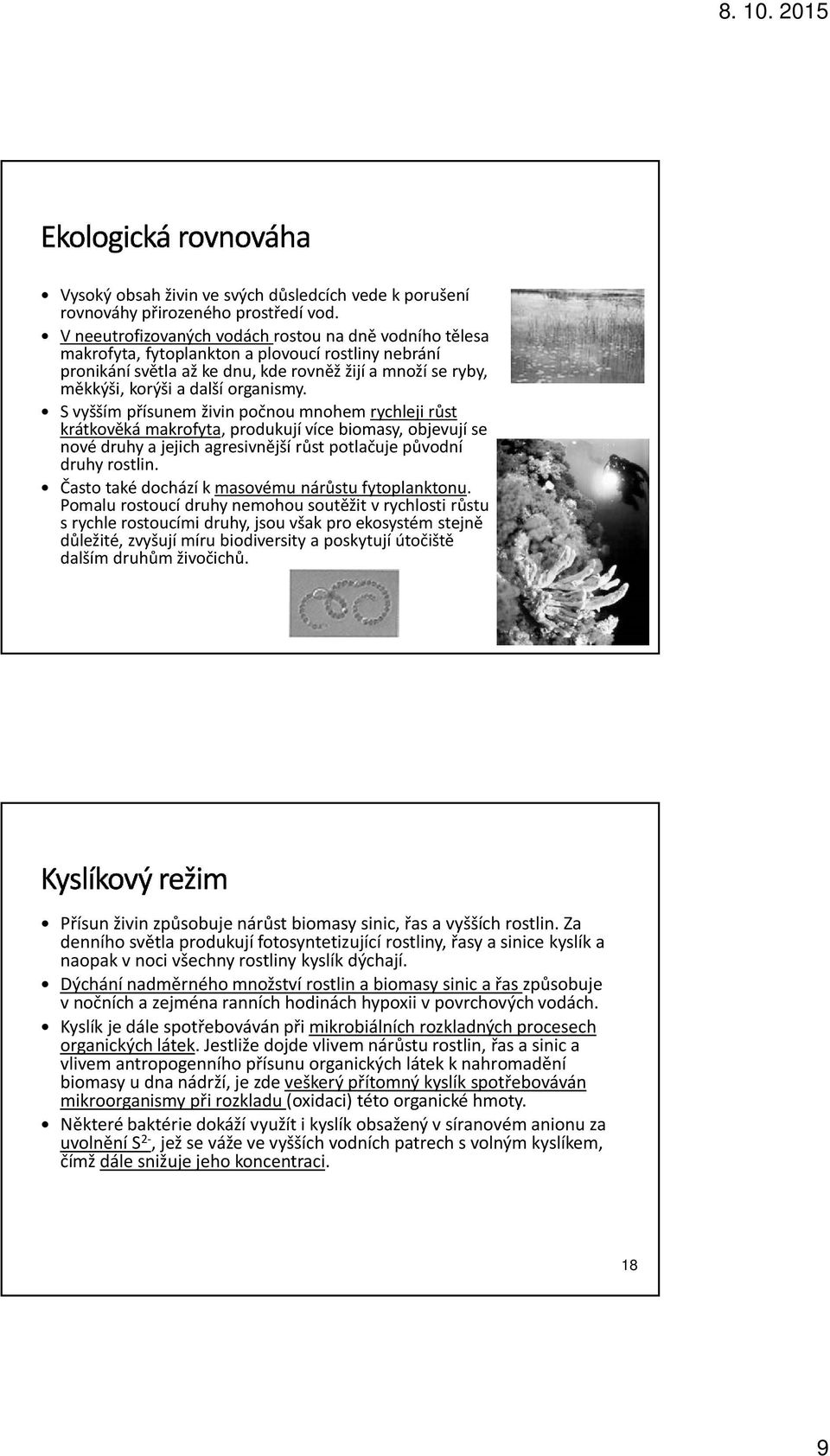 organismy. Svyšším přísunem živin počnou mnohem rychleji růst krátkověká makrofyta, produkují více biomasy, objevují se nové druhy a jejich agresivnější růst potlačuje původní druhy rostlin.