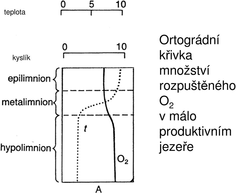 množství rozpuštěného