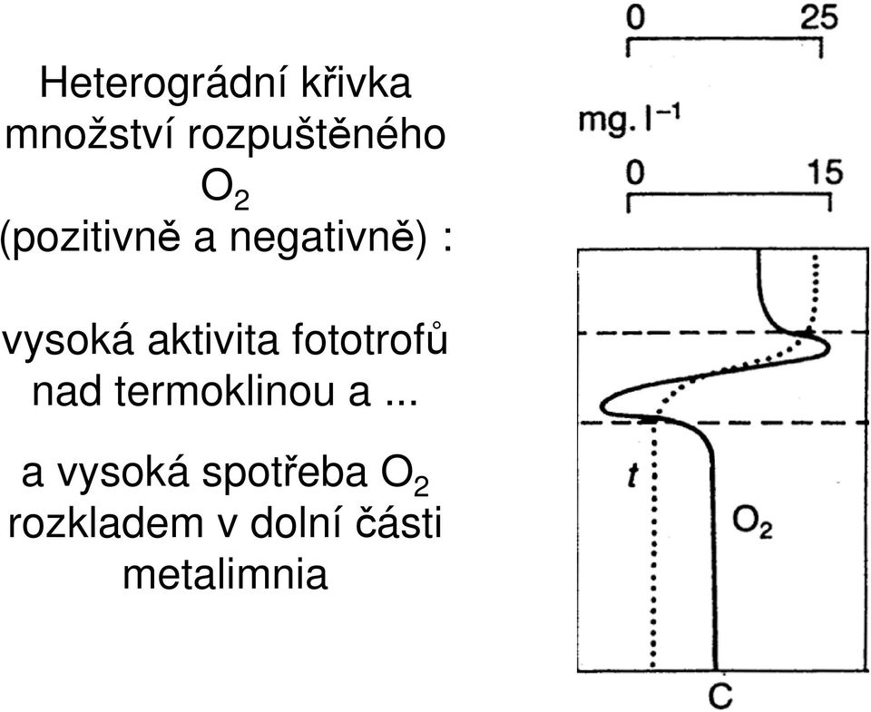 fototrofů nad termoklinou a.